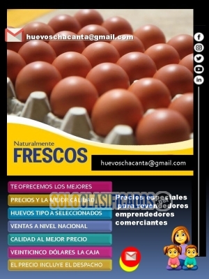 Huevos Tipo A $ 25 dólares la Caja envío gratis... 