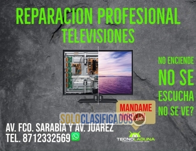 REPARACION PROFESIONAL DE TELEVISIONES... 