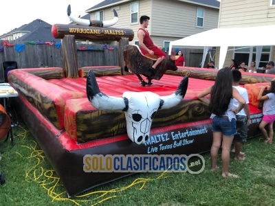 Solo Clasificados - Maltez Entertainment - imagen: 6