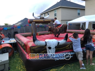 Solo Clasificados - Maltez Entertainment - imagen: 5