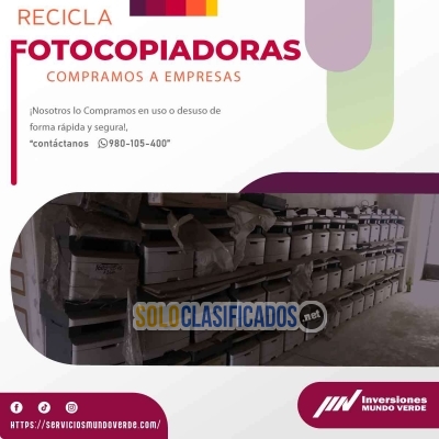 Solo Clasificados - ¡Reciclaje + Acción = Éxito con mundo verde! - imagen: 6