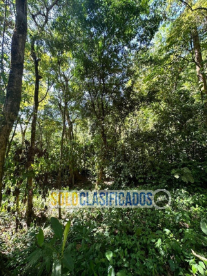 Solo Clasificados - Propiedad en Venta en Playa Hermosa OSA Puntarenas - imagen: 5
