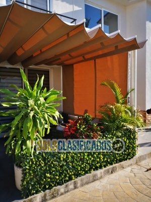 Solo Clasificados - ¿Mucho sol en casa o en tu negocio? Toldos Ambience tiene la solución perfecta. - imagen: 4