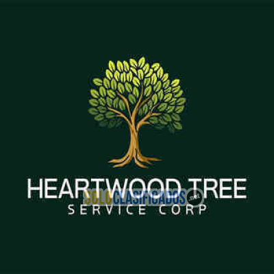 Solo Clasificados - Heartwood    Tree Service           Corp - imagen: 1