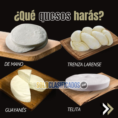 Solo Clasificados - CURSO PRESENCIAL QUESOS FRESCOS HILADOS ARTESANALES VENEZOLANOS - imagen: 2
