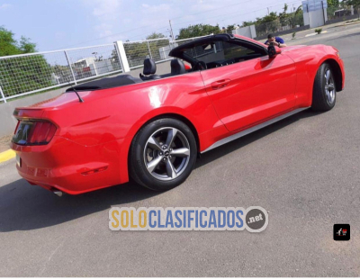 Solo Clasificados - Ferraris Y Otros Carrros Deportivos En Alquiler, Todo Rd! - imagen: 8