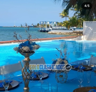 Solo Clasificados - ¿Imaginas una Boda Perfecta junto al Mar?   Visualiza el 