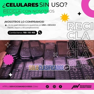 Solo Clasificados - ¡CONTRIBUYE CON EL PLANETA Y GANA DINERO! - imagen: 3