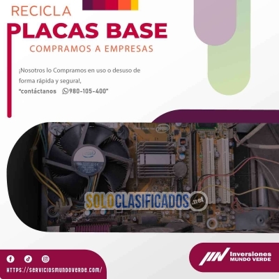 Solo Clasificados - ¡Reciclaje + Acción = Éxito con mundo verde! - imagen: 4