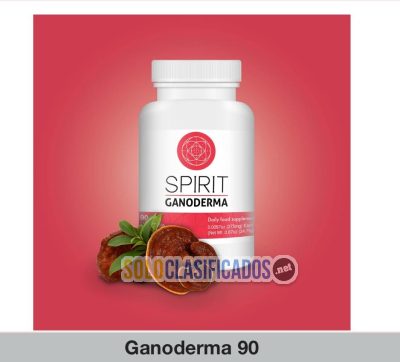 Spirit Ganoderma 90  Puro extracto de las seis especies más poten... 