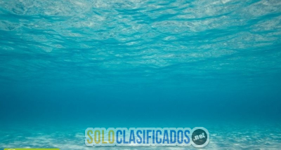 Solo Clasificados - Me Encanta El Caribe!!! (Apartamentos Playa Rd) - imagen: 15