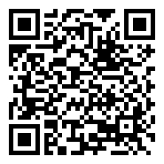 QR:LINDO CHIHUAHUA PELO LARGO