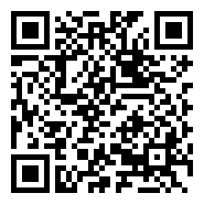 QR:Vendedores con Experiencia