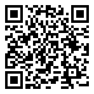 QR:chihuahua puppies