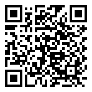 QR:Cabeza puntal V0644