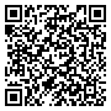 QR:DETECTIVES PRIVADOS SERVICIOS PROFESIONALES