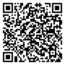 QR:Elementos De Bombas De Inyeccion elementos de bombas