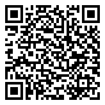 QR:Regalo maravilloso Cachorros de caniche toy