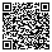 QR:Preciosos y cariñosos Maltes disponibles  