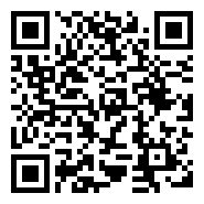 QR:GALGO AFGANO 