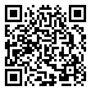 QR:JUST FOR YOU BASSET HOUND