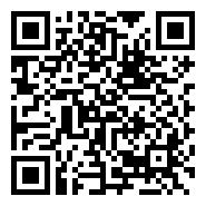 QR:PUPPIES GRAN DANÉS