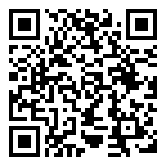 QR:GALGO AFGANO