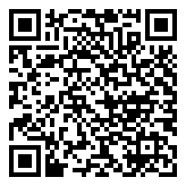 QR:** GARRUCHA CON NIVELADOR PARA ANDAMIOS **