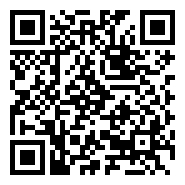 QR:Vendedores con Experiencia