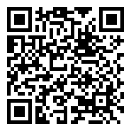 QR:DACHSHUND HARLEQUÍN