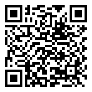 QR:4ADORABLE BICHÓN MALTÉS