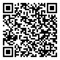 QR:LABRADOR RETRIERVER CACHORROS