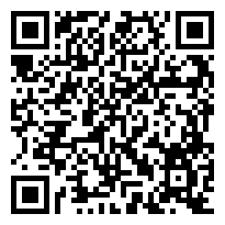 QR:Tiernos Chihuahuas pelo largo