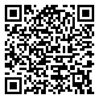 QR:PUPPIES FRENCH PODDLE CHOCOLATE