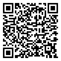 QR:Chow Chow Agradables y Hermosos  Cachorros