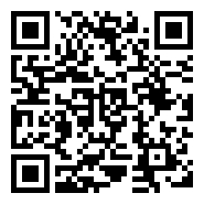 QR:YORKIE  TERRIER