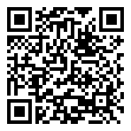 QR:AKITA INU JAPONES / FLORIDA