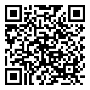 QR:Rompedor Hyundai