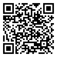 QR:CACHORRITOS BORDER COLLIEN