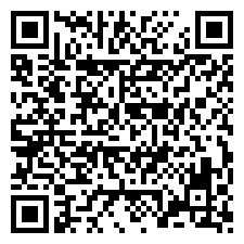 QR:elementos de bomba de inyeccion diesel Elementos De Bomba Diesel