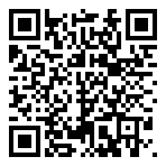 QR:AKITA AMERICANO    / FLORIDA