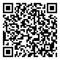 QR:Cachorros hermosos raza biewer